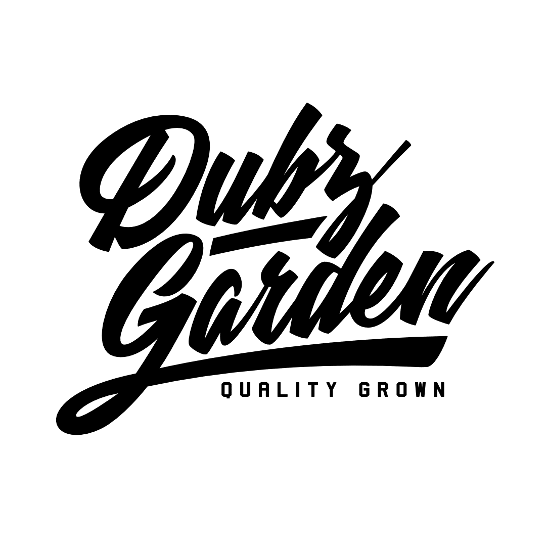 Dubz Garden